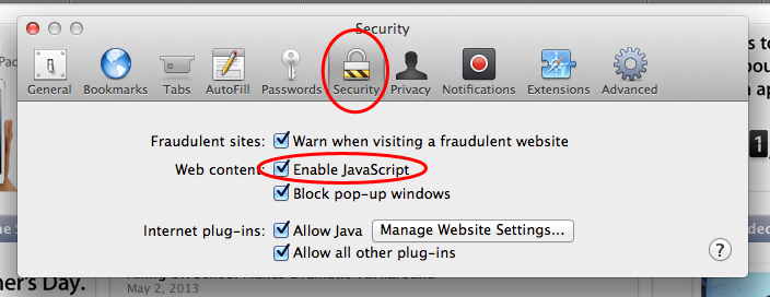 safari enable javascript support